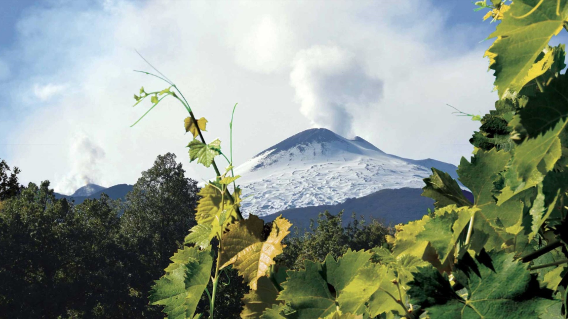 I Vini del Vulcano